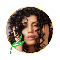 Collection Soins Cheveux Aloe Jojoba AloeKorner Maroc – Produits Forever Living pour nettoyer, nourrir et embellir les cheveux.