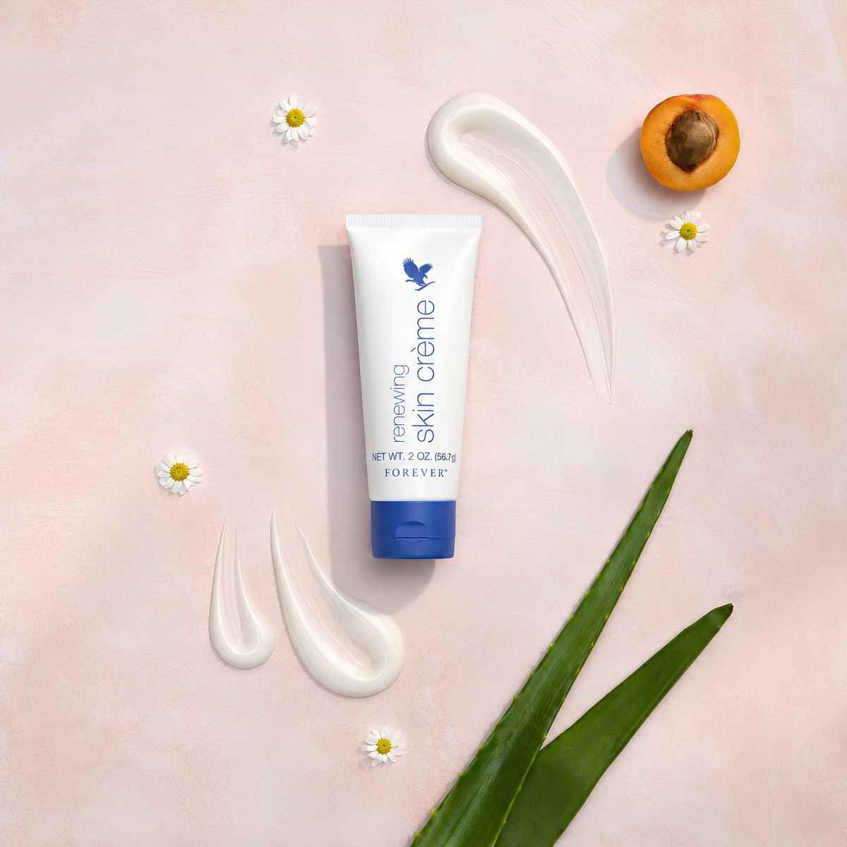 Crème Régénératrice Forever Living avec Aloe Vera, texture crème, fleur de camomille et abricot - soin visage régénérant