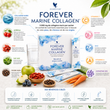 Infographie Forever Marine Collagen présentant le collagène marin, la vitamine C, la biotine, le zinc, le goji, l'acérola, le thé vert et le poivre noir