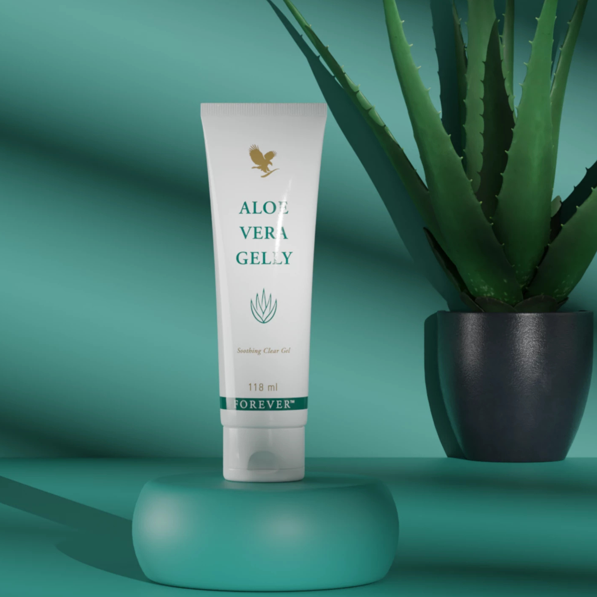 Gelée Aloès Forever Living présentée avec une plante d'Aloe Vera dans une ambiance naturelle